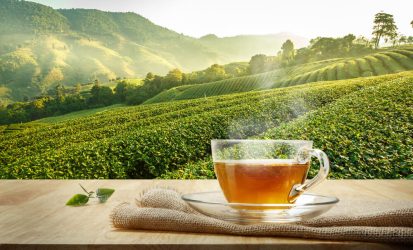 shutterstock_577417366-1